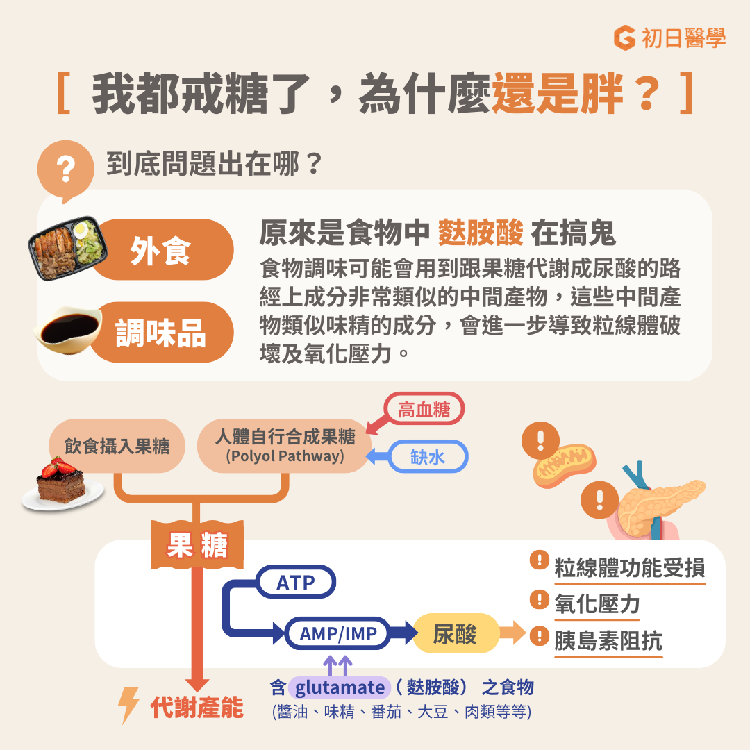為什麼戒糖後還是胖？  原型食物也含糖？  有些人戒糖後體重和血糖依然失控，可能是因為食物調味中含有麩胺酸，這些成分會加速尿酸的合成，導致脂肪堆積。  身體自己產生果糖？  即使完全不攝取果糖，高血糖和脫水會使身體透過polyol pathway自行產生果糖，導致脂肪堆積。