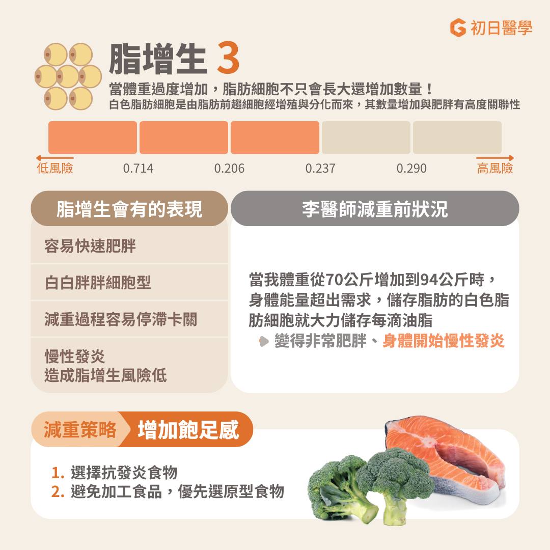 脂增生:當體重過度增加,脂肪細胞不只會長大還會增加數量。