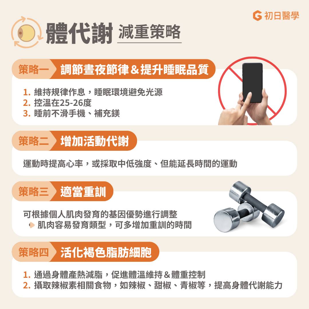 體代謝減重策略,可以維持規律作息,提升睡眠品質、適當重訓。