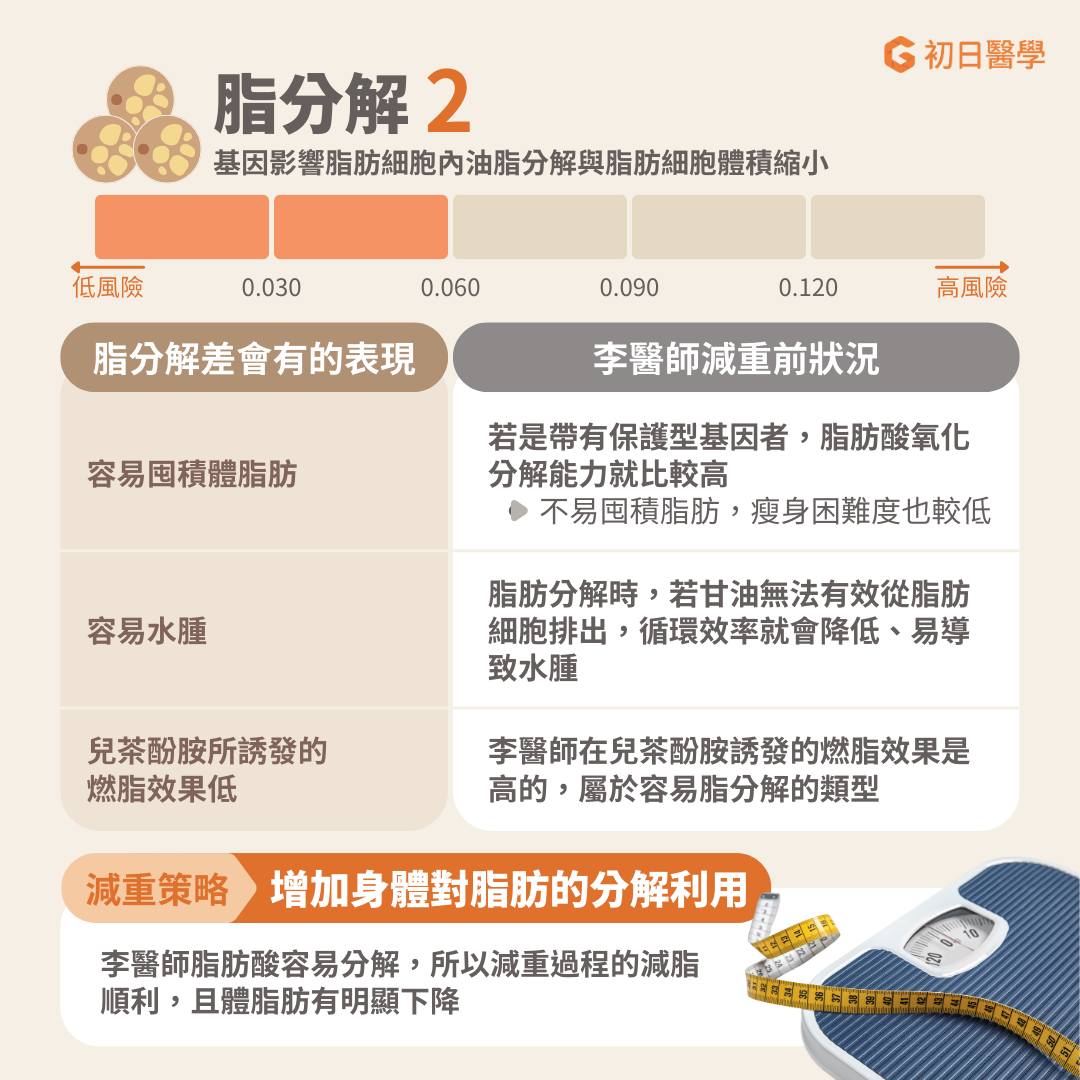 脂分解:基因影響脂肪細胞內油脂分解與脂肪細胞體積縮小 脂分解差的表現包括:容易囤積體脂肪、減脂效率低、容易水腫