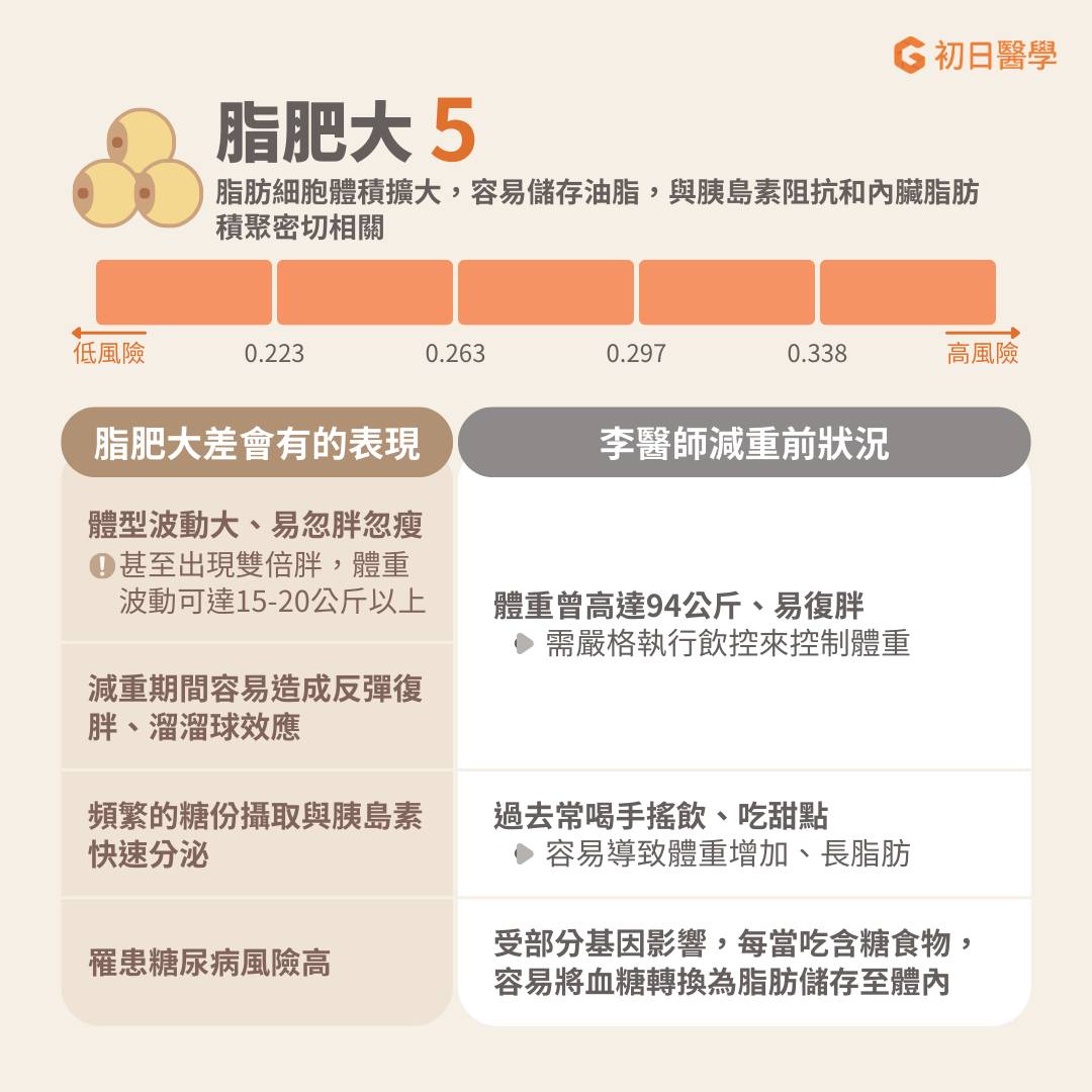 脂肥大:脂肪細胞體積擴大,容易儲存油脂,與胰島素阻抗和內臟脂肪積聚密切相關。