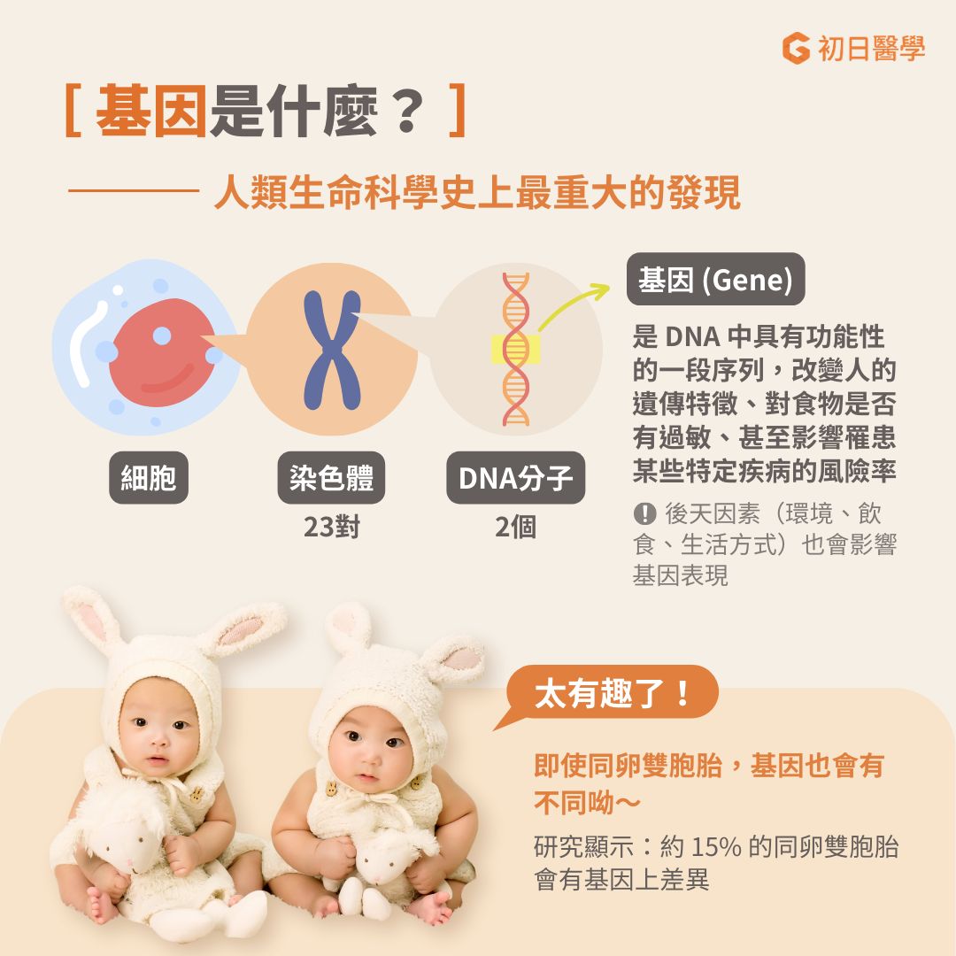 基因(Gene)[2]是 DNA 中具有功能性的一段序列。這段序列會製造特定的蛋白質或調控其他基因的表現量，從而改變人的遺傳特徵、對食物是否有過敏、甚至影響罹患某些特定疾病的風險率。從1990年開始，Human Genome Project (HGP) [3] 便致力於了解以及解開人類基因的密碼。直至2003年，在耗費了13年的時間之後，HGP宣布成功解析了人類基因組92%的基因序列，剩餘的8%受限於當時的技術而無法解析。直到2022年才透過短片段定序技術，正式完成了人類基因圖譜 [4]。