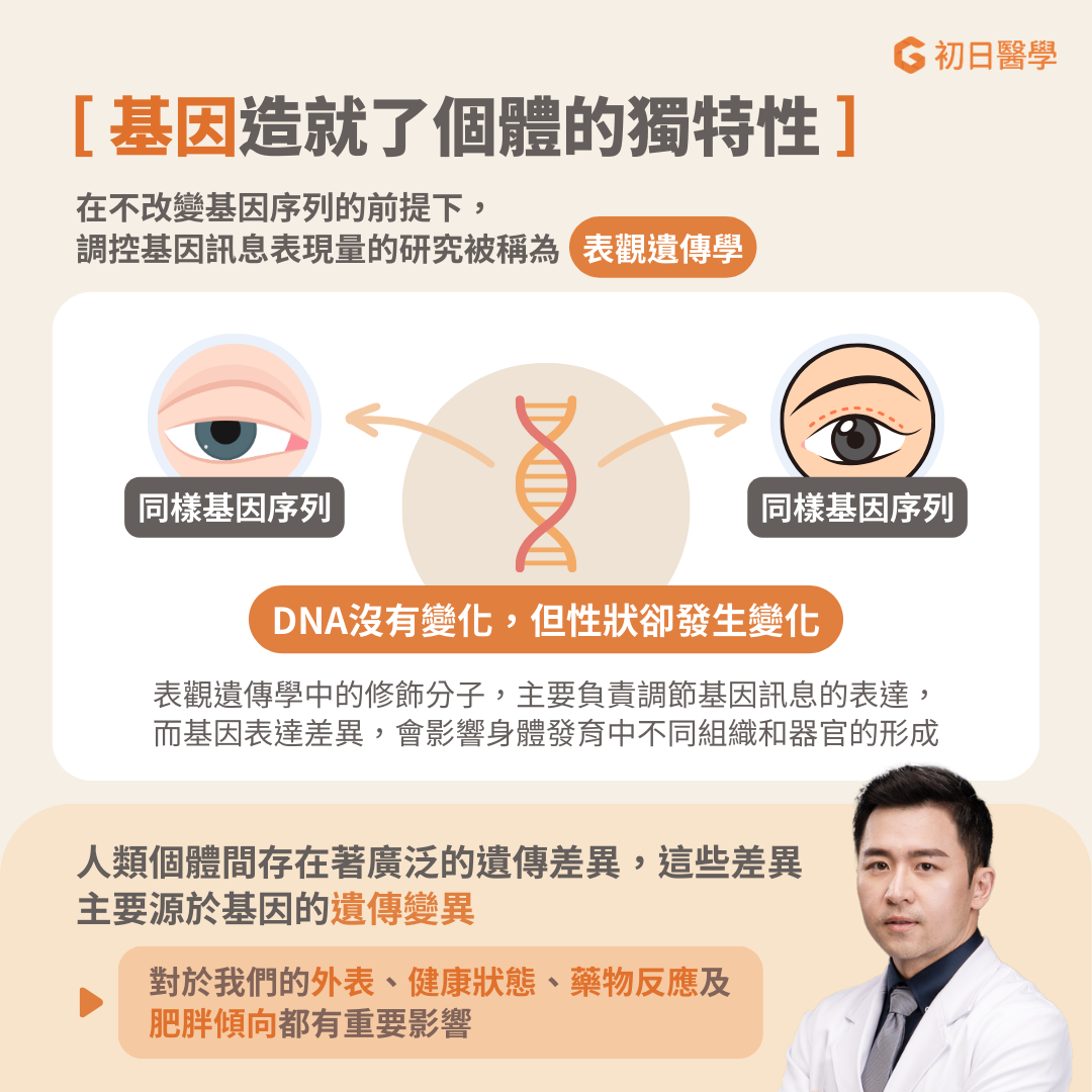 在不改變基因序列的前提下,調控基因訊息表現量的研究被稱為表觀遺傳學。修飾分子在表觀遺傳學中扮演著重要的角色,是調節基因訊息表達的分子,就像是一個連結在基因上的「開關」,除了「開啟」或「關閉」基因訊息之外,還可以告訴基因現在應該要「大聲、用力表達」或「小聲、悄悄表達」。而基因訊息表達的差異在身體發育成不同部位時至關重要,例如:肌肉細胞和大腦細胞雖然源於同一個受精卵且擁有相同的基因序列,但是卻在體內有不同的功能。