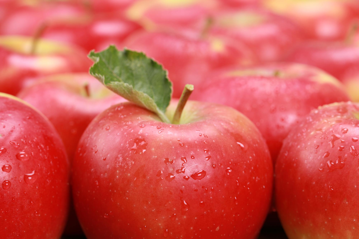 Red apples