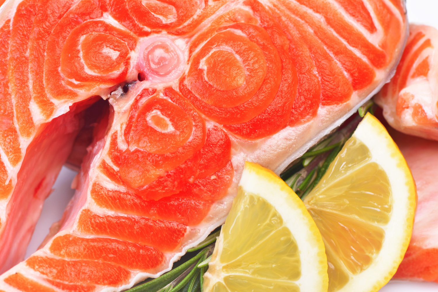 Fish salmon
