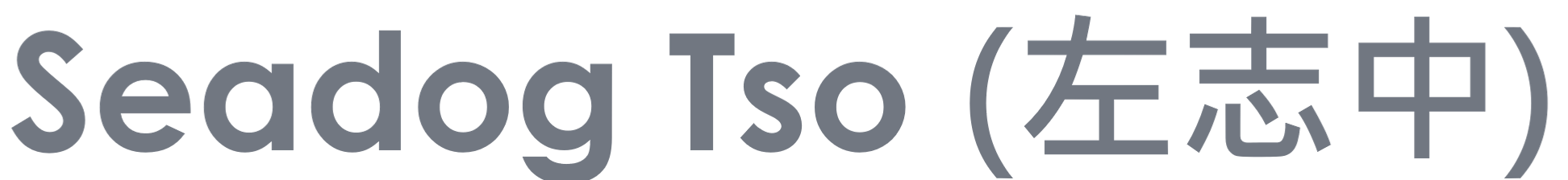 Seadog Tso (左志中)