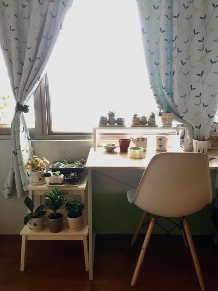屋內小花園