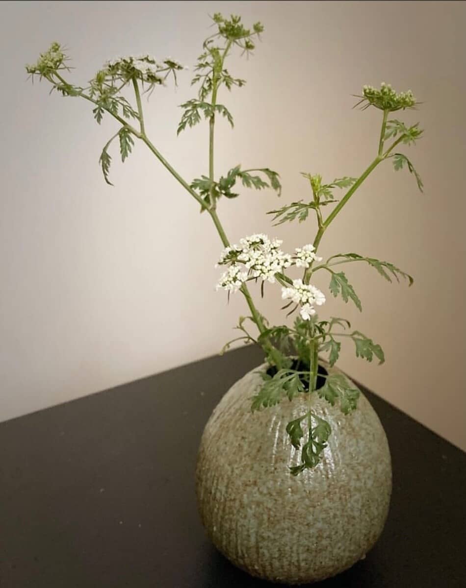 與花共生的居家花藝課｜點亮家中的15款瓶插花