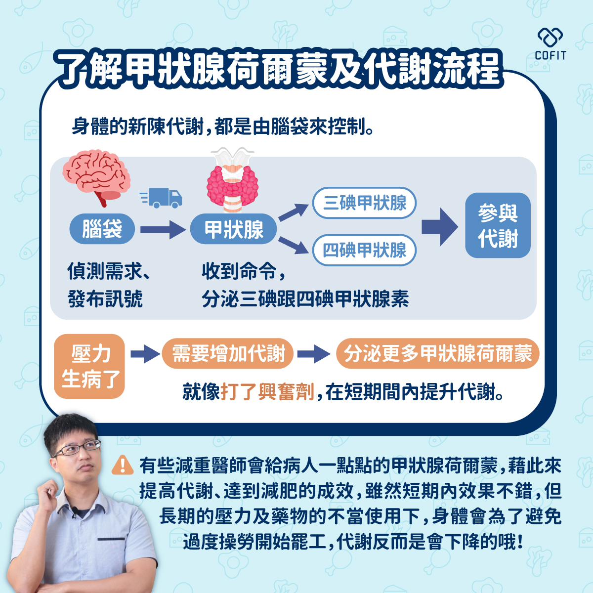 甲狀腺荷爾蒙及代謝流程