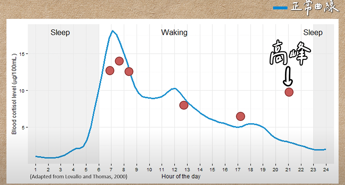 ”皮質醇太高造成血糖不穩定的示意圖”