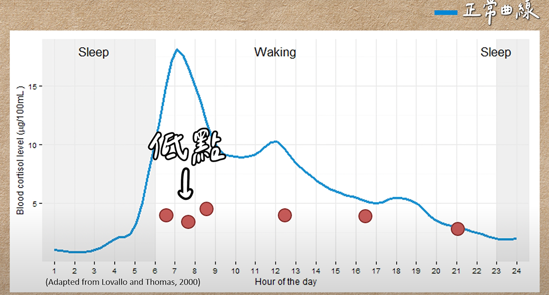早上起床時皮質醇應該高,該案反而掉下來的示意圖