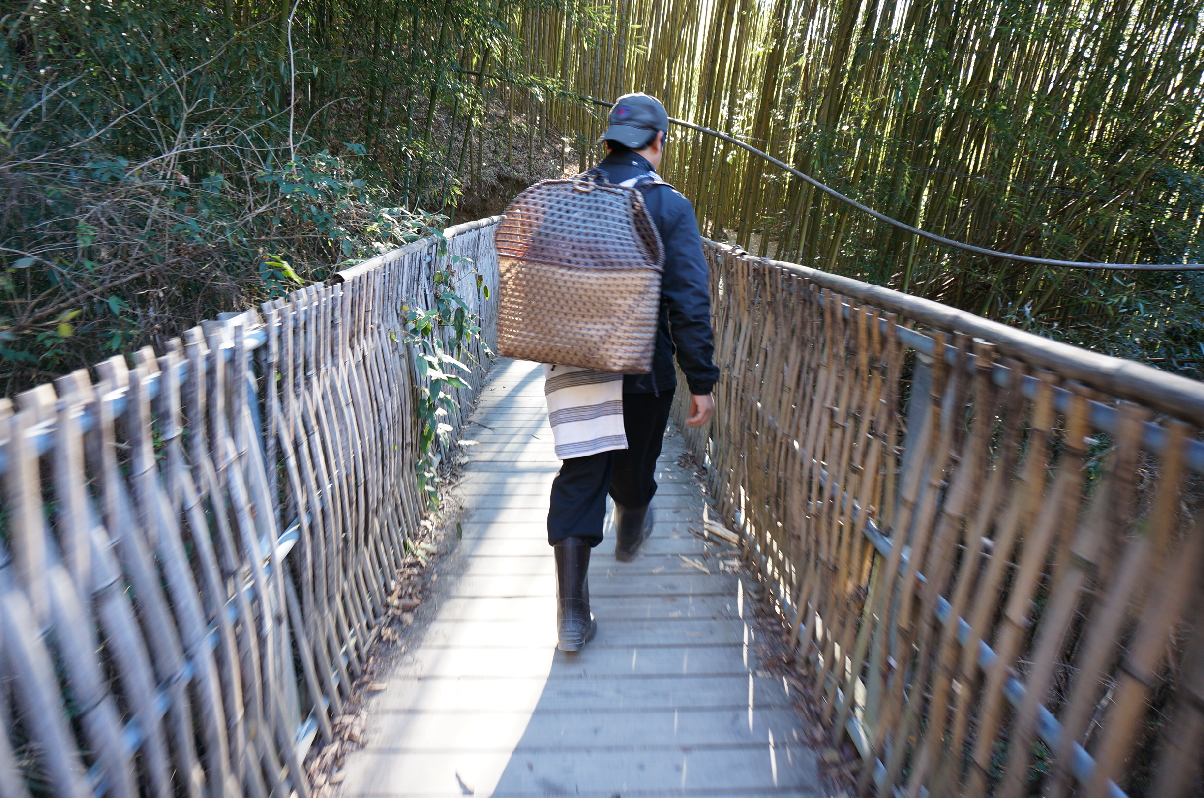 充滿感恩的山林橋