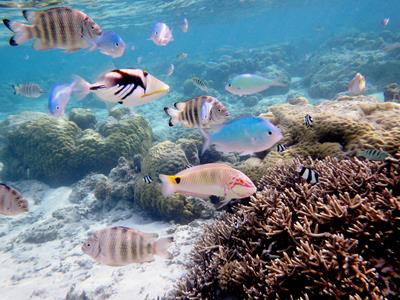 海底世界水族館
