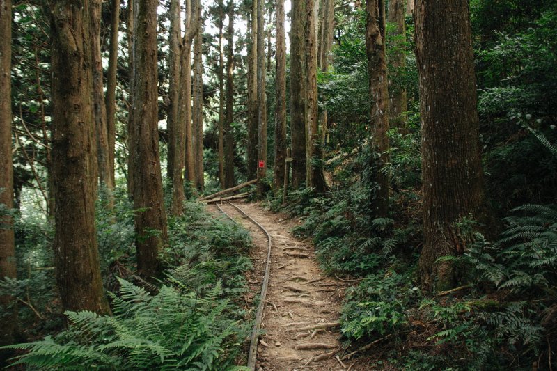 苗栗加里山步道