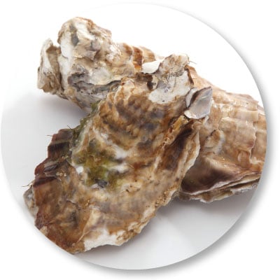 牡蠣殼假冒珍珠粉