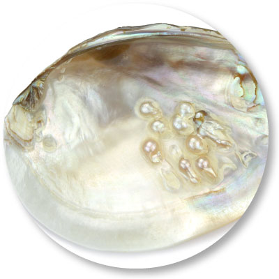 珍珠層磨粉假冒