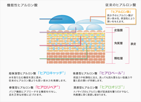 專業製造外用型的機能性玻尿酸 4種外用型的機能性玻尿酸