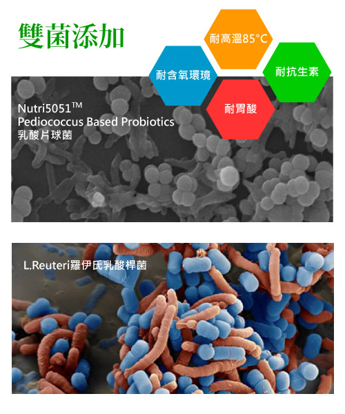 雙菌添加