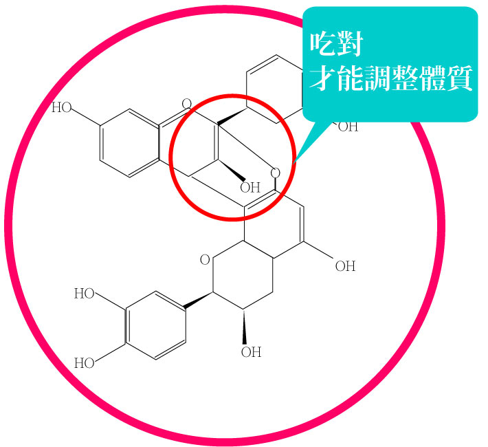 蔓越莓特有的原花青素Proanthocyanidins(PACs)結構分子圖