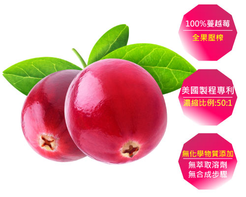冷壓榨冷過濾的蔓越莓保留完整營養素
