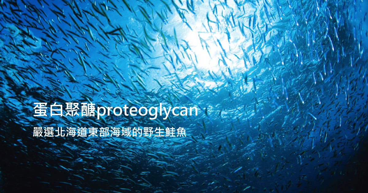 北海道蛋白聚醣