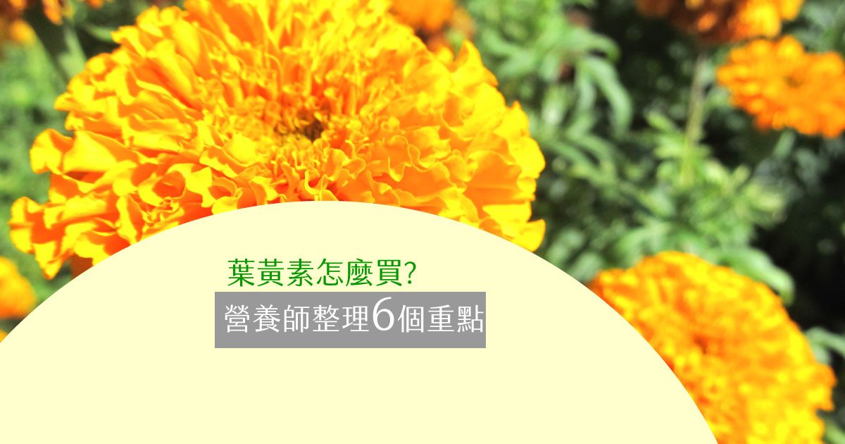 葉黃素怎麼買?營養師整理6個重點