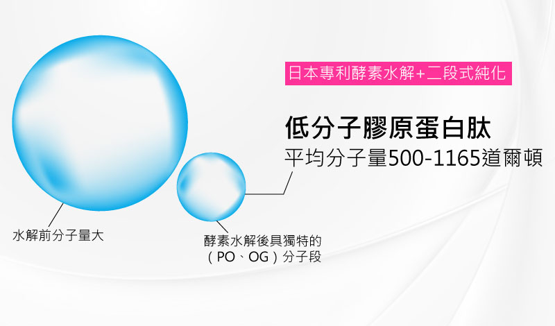 膠原蛋白分子量圖