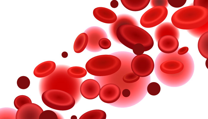 Hemoglobin血紅素