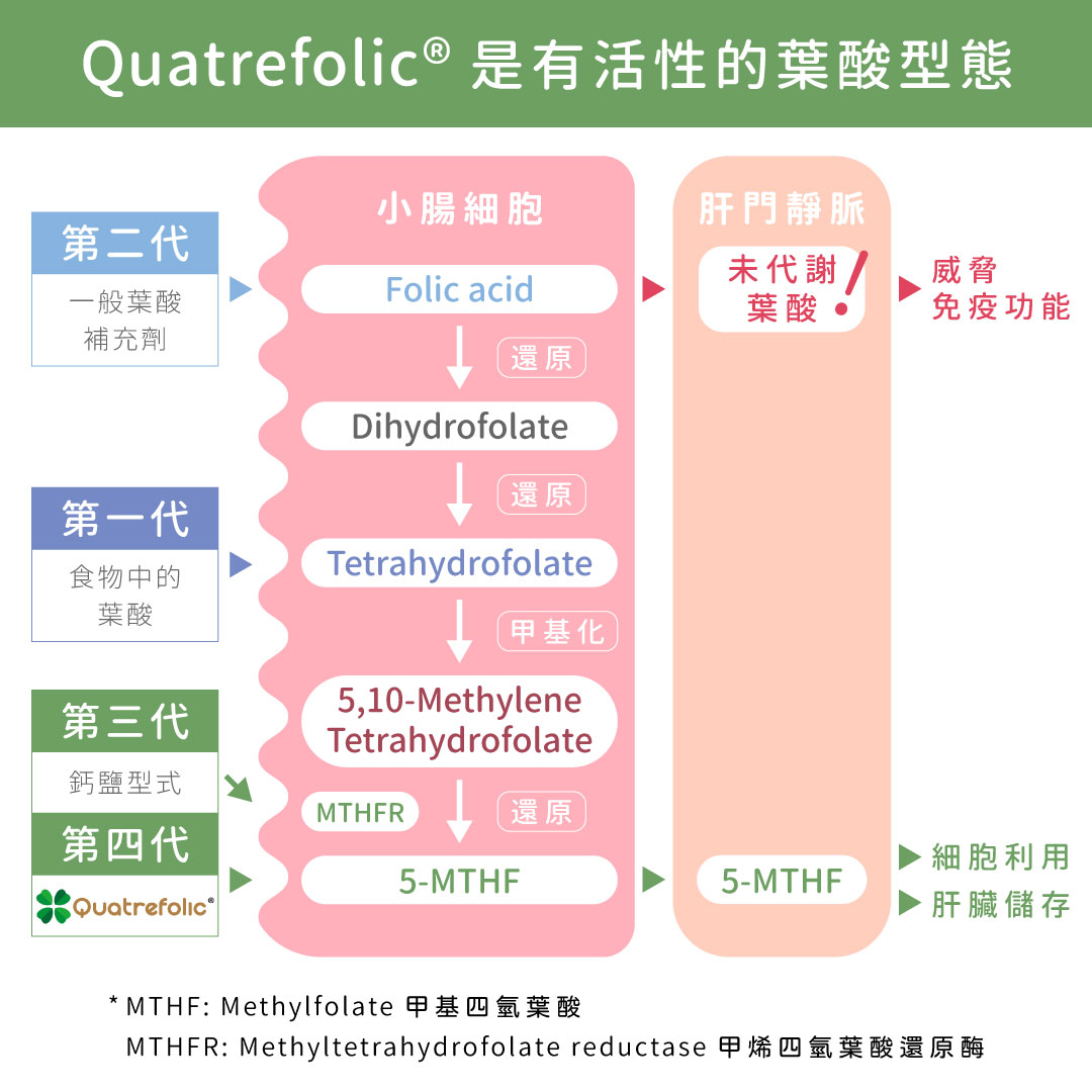 四代葉酸種類優缺點圖