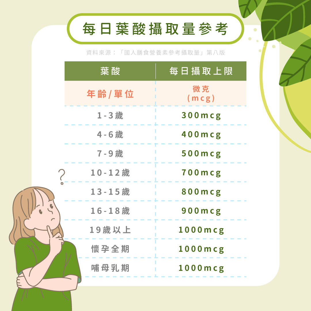葉酸每日建議攝取量上限一覽表
