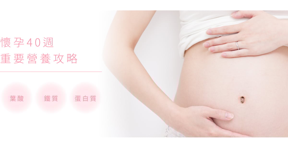 懷孕營養葉酸鐵質蛋白質