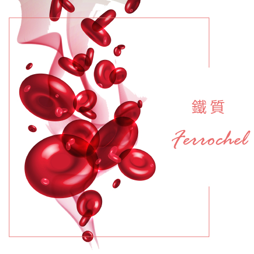 鐵質