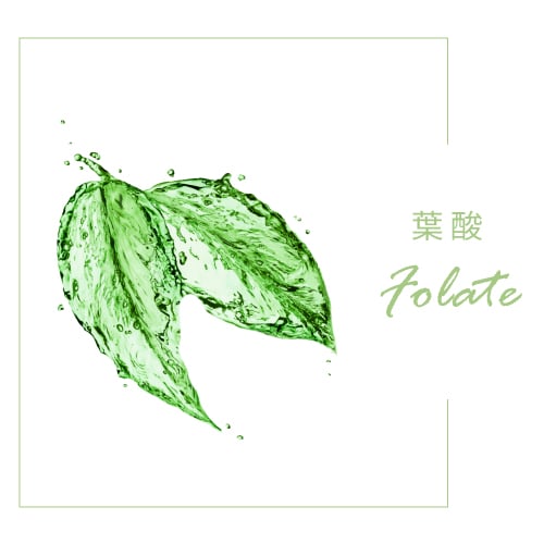 葉酸