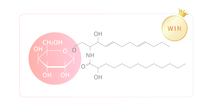 植物性米萃取賽洛美神經醯胺分子結構帶有脂質圖，吸收率比合成的好