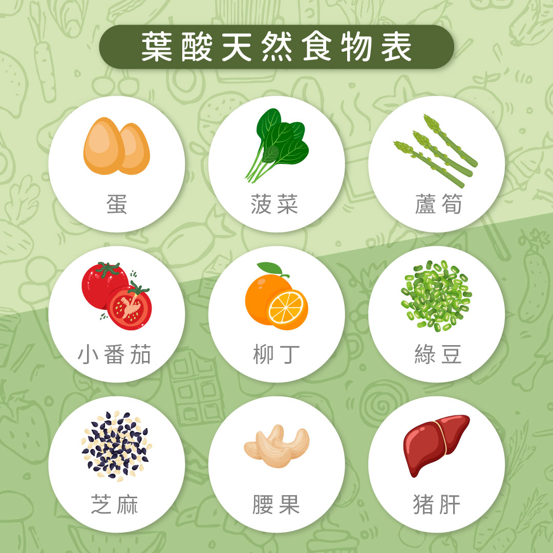 葉酸天然食物表