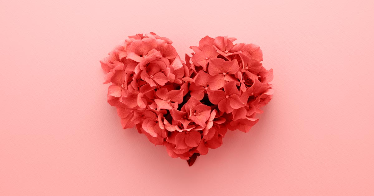 美之選公益活動