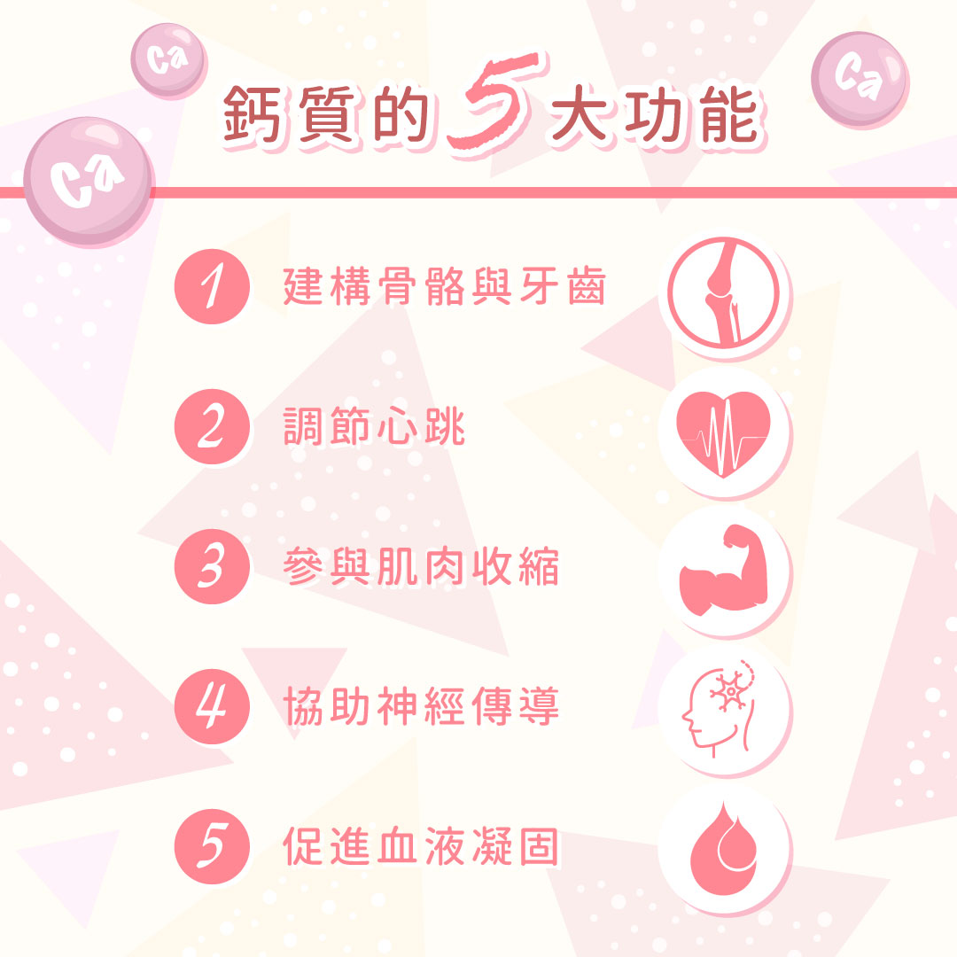 鈣質的5大功能