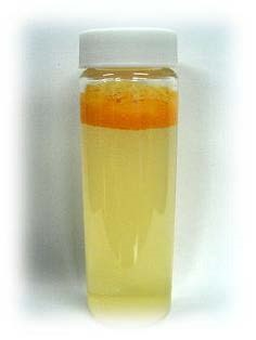 傳統Q10不易水溶會懸浮上方試驗