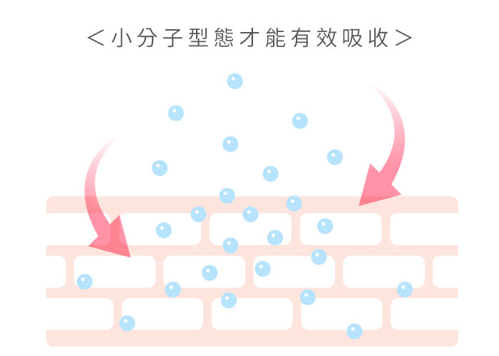 膠原蛋白分子量圖