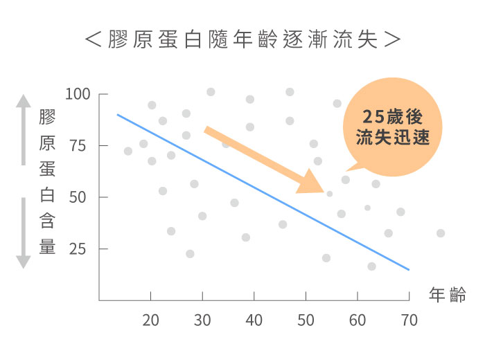 膠原蛋白流失率圖