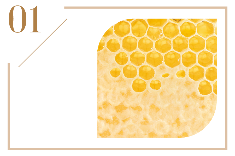 蜂王乳蜂巢