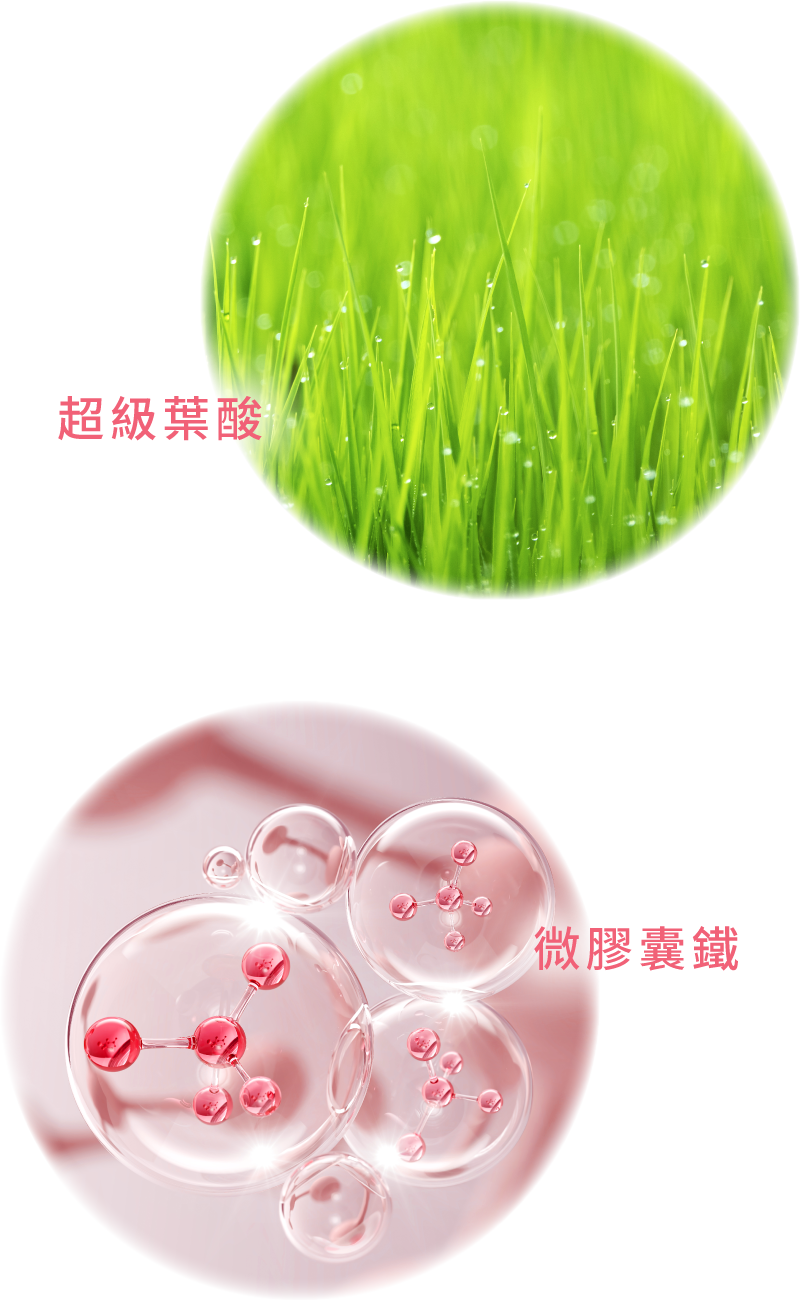 膠原蛋白添加超級葉酸、微膠囊鐵，讓女生每個月MC後補充鐵質不讓缺鐵發生