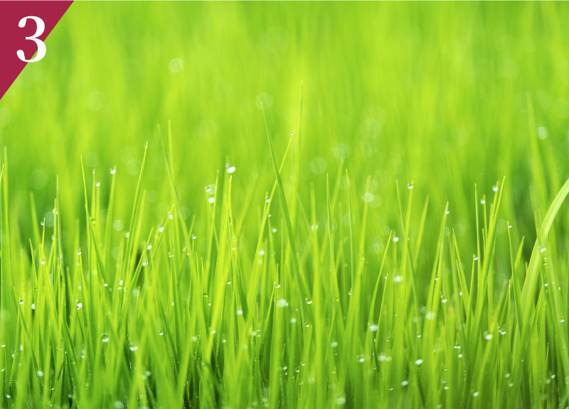 ActifoliCa® 第5代葉酸適合孕婦補充