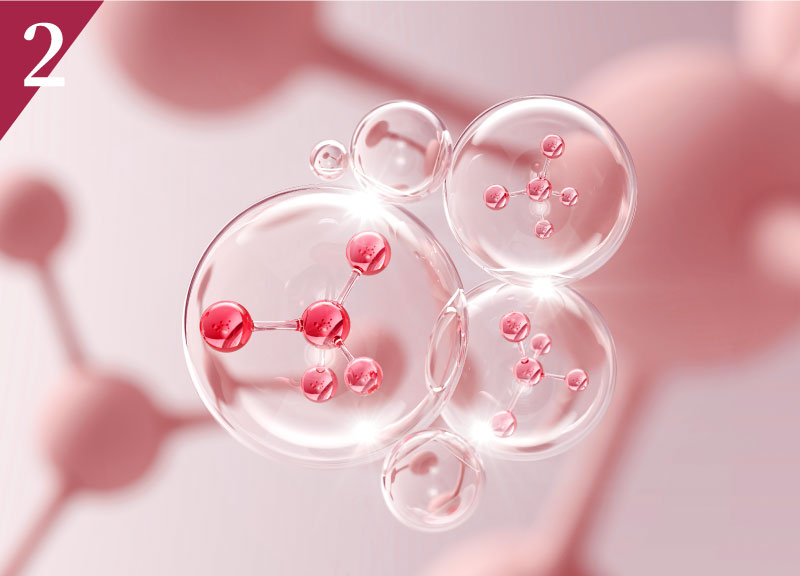 LIPOFER®微膠囊化鐵分子圖