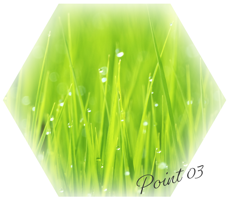 ActifoliCa® 第 5 代活性葉酸