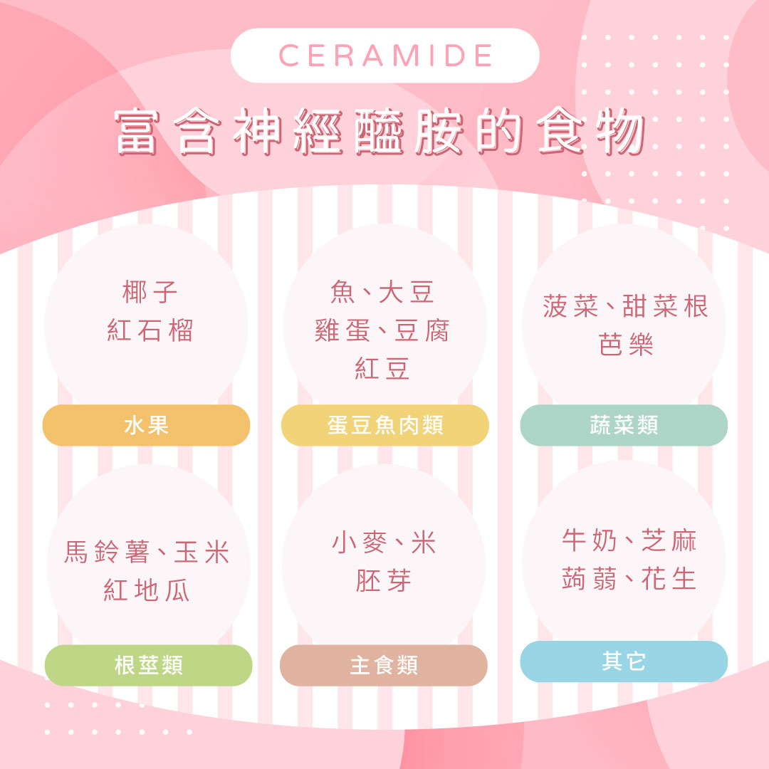 富含神經醯胺的食物