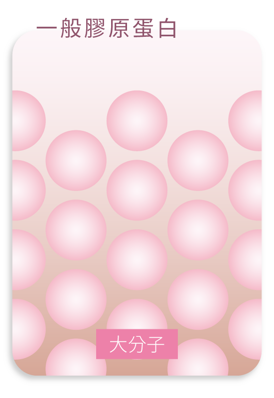 食物中的膠原蛋白分子量數十萬,很難消化吸收