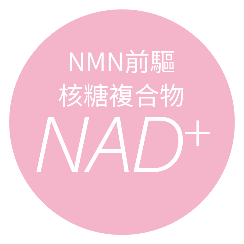 NMN DONNOR核糖複合物