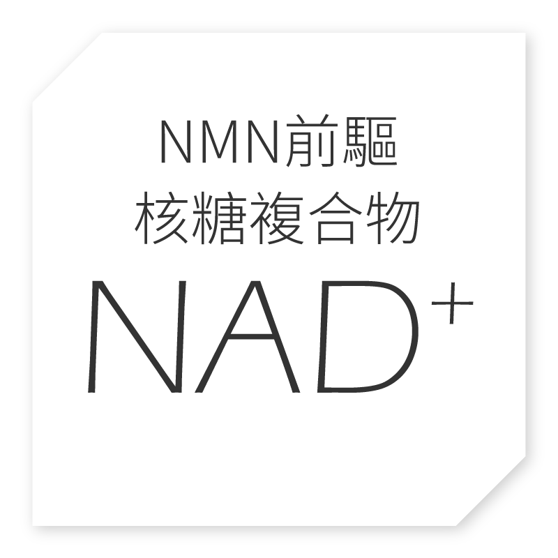 NMN前驅物