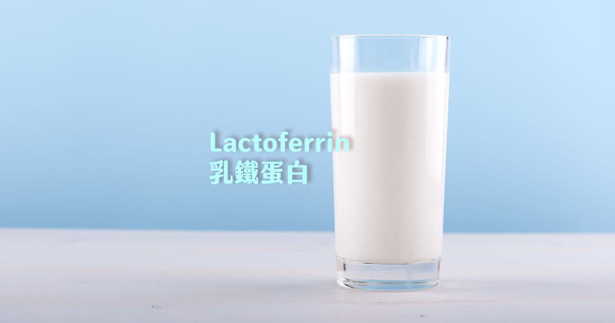 Lactoferrin乳鐵蛋白推薦選購要點整理